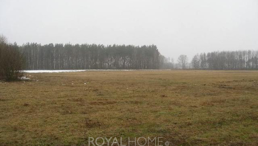Działka Sprzedaż Stepnica