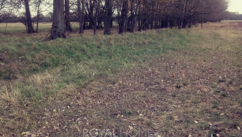 Działka Sprzedaż Łęgi