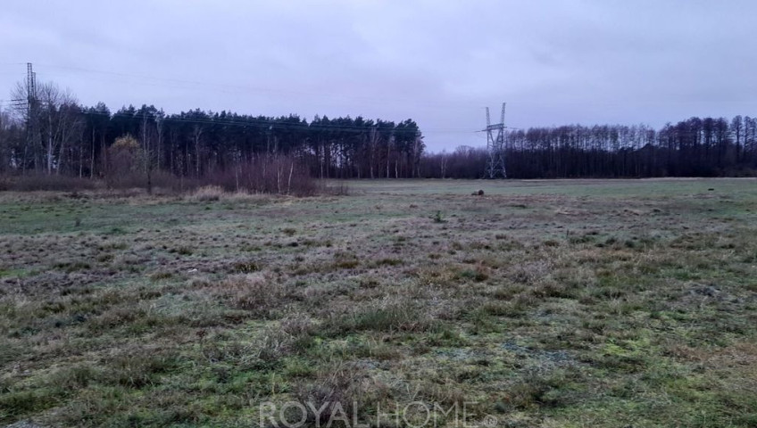 Działka Sprzedaż Stepnica
