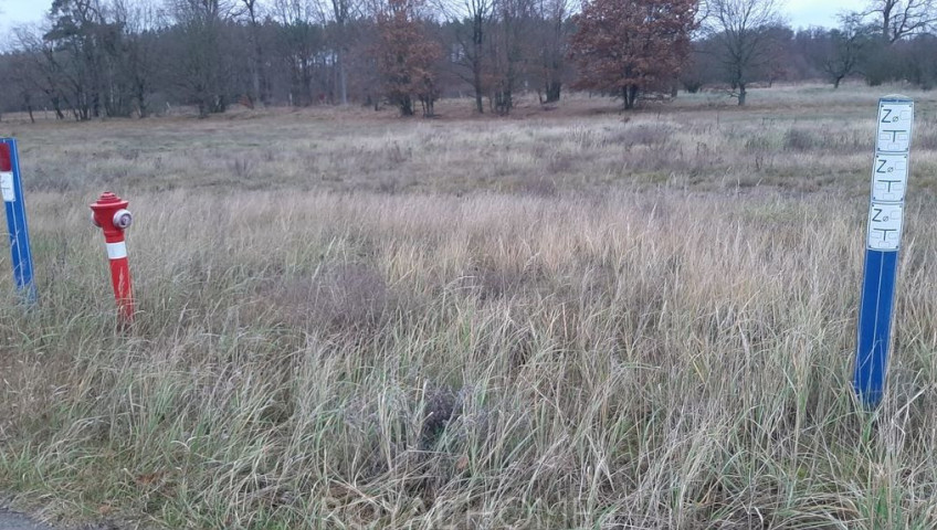 Działka Sprzedaż Stepnica