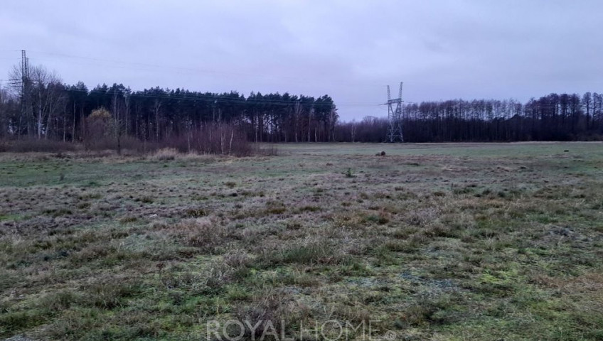 Działka Sprzedaż Stepnica