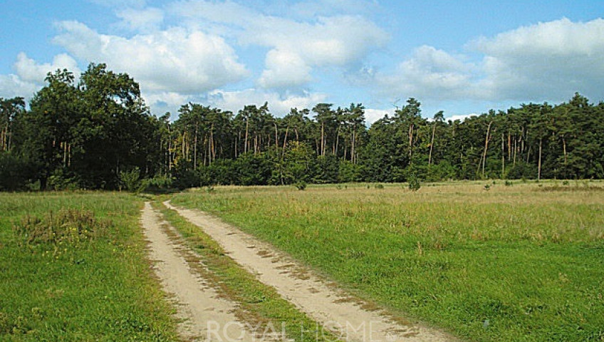 Działka Sprzedaż Kościno