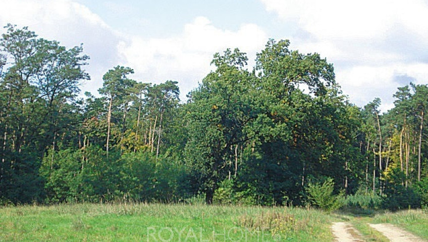 Działka Sprzedaż Kościno