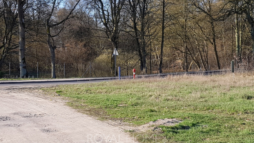 Działka Sprzedaż Kościno