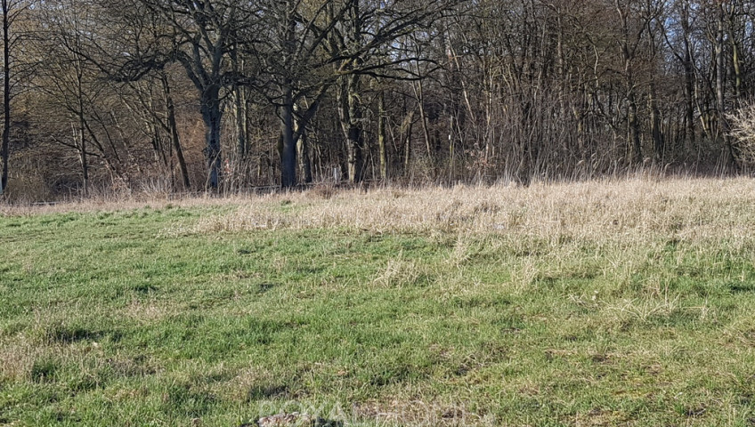 Działka Sprzedaż Kościno