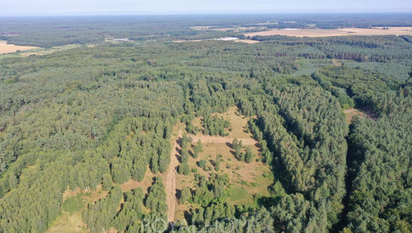 Działka Sprzedaż Krzywice