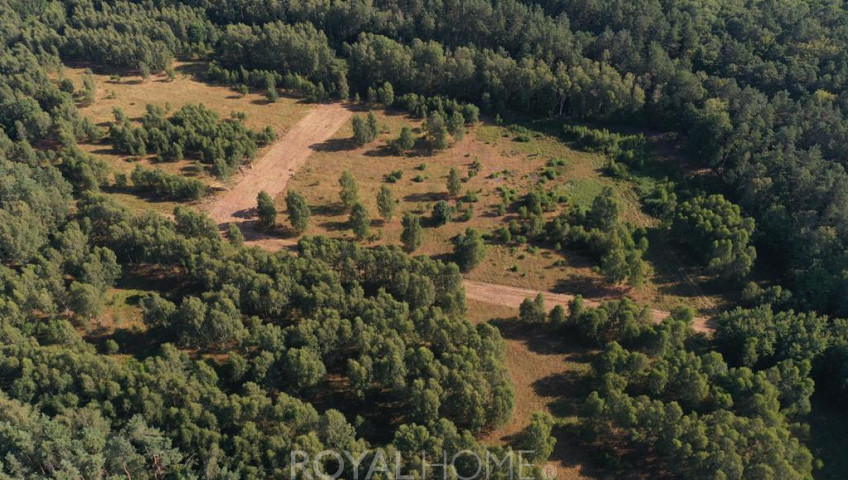 Działka Sprzedaż Krzywice