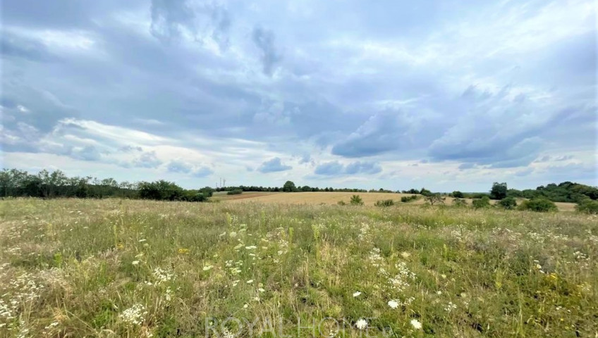 Działka Sprzedaż Gryfino
