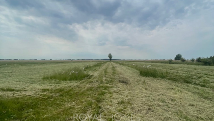 Działka Sprzedaż Wierzbno