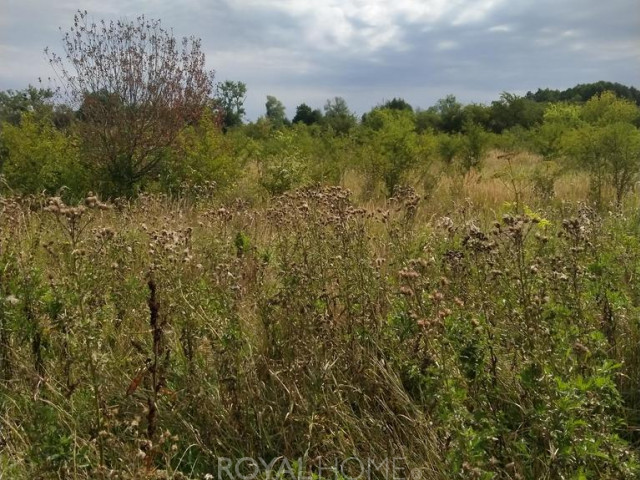 Działka Sprzedaż Pyrzyce