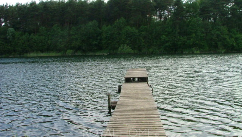 Działka Sprzedaż Żabin