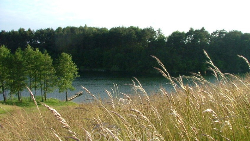Działka Sprzedaż Żabin