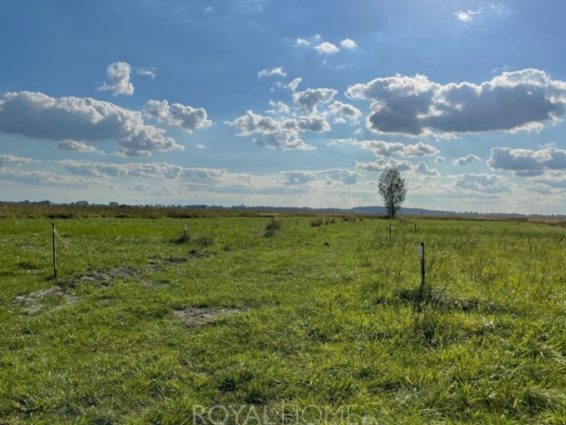 Działka Sprzedaż Wierzbno