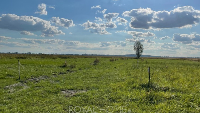 Działka Sprzedaż Wierzbno
