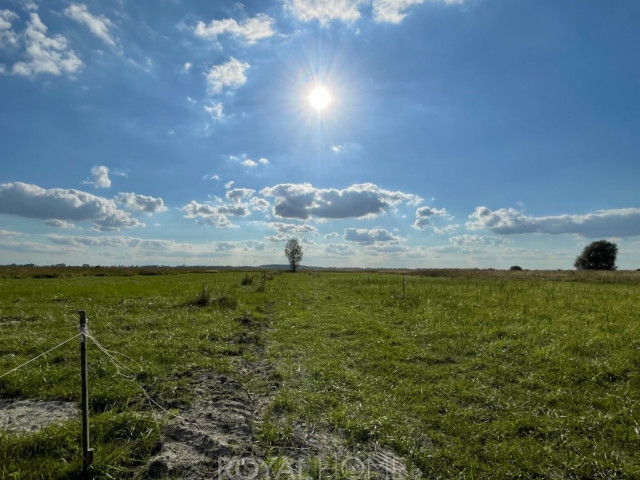 Działka Sprzedaż Wierzbno
