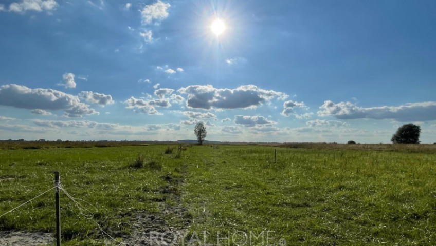 Działka Sprzedaż Wierzbno