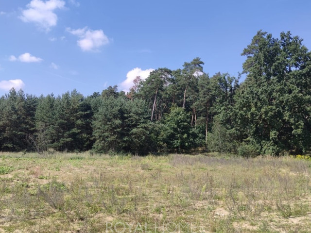 Działka Sprzedaż Kościno