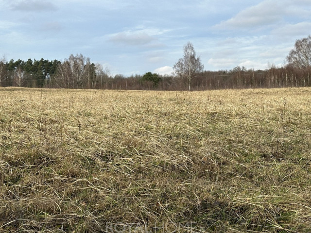 Działka Sprzedaż Storkowo