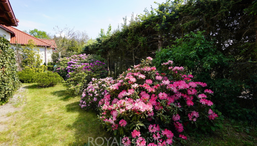Dom Sprzedaż Szczecin Załom