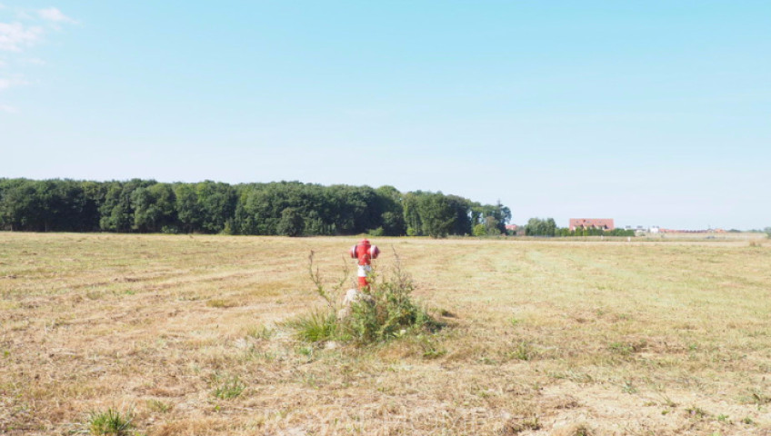 Działka Sprzedaż Śliwin